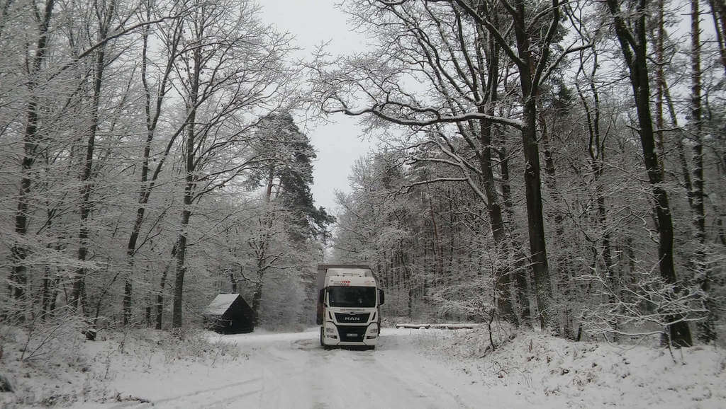 Transport żubrów, załadunek